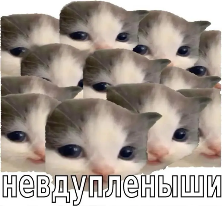 когда не вспомнили пароль, который устанавливали на рабочем компе до ухода на новогодние праздники.. | Сетка — социальная сеть от hh.ru