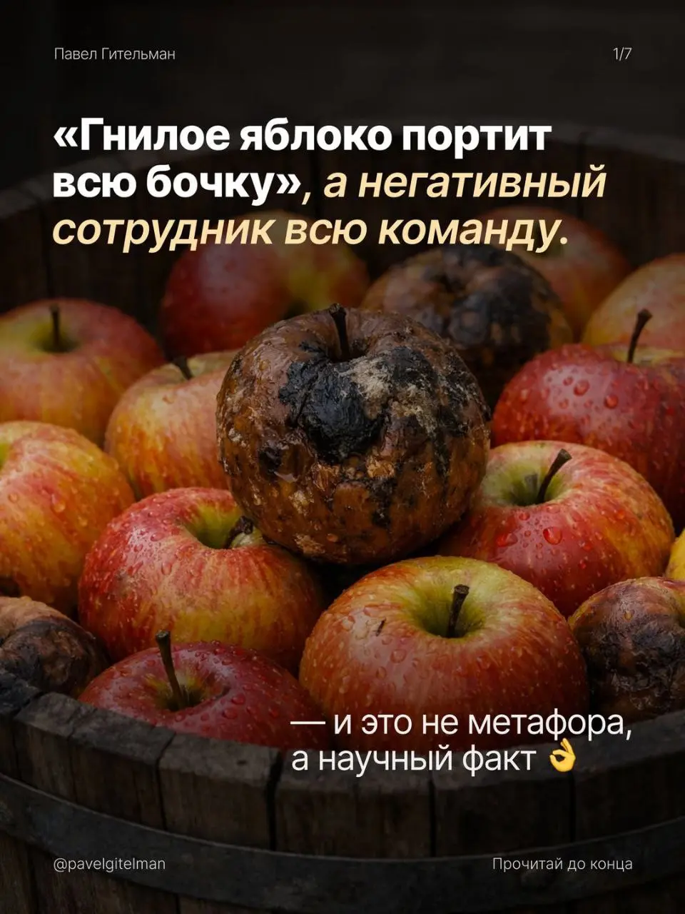Стащила у Павла Гительмана.
Согласна на все 100%
Что думаете об этом исследовании?
Пишите в комментариях ⤵️ | Сетка — социальная сеть от hh.ru