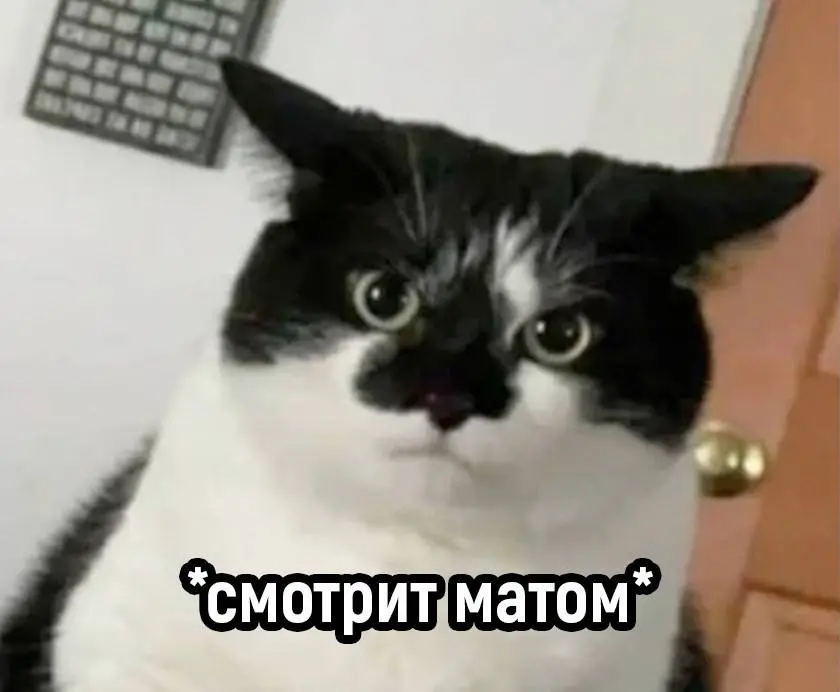 Врываемся в рабочую недельку, коллеги | Сетка — социальная сеть от hh.ru