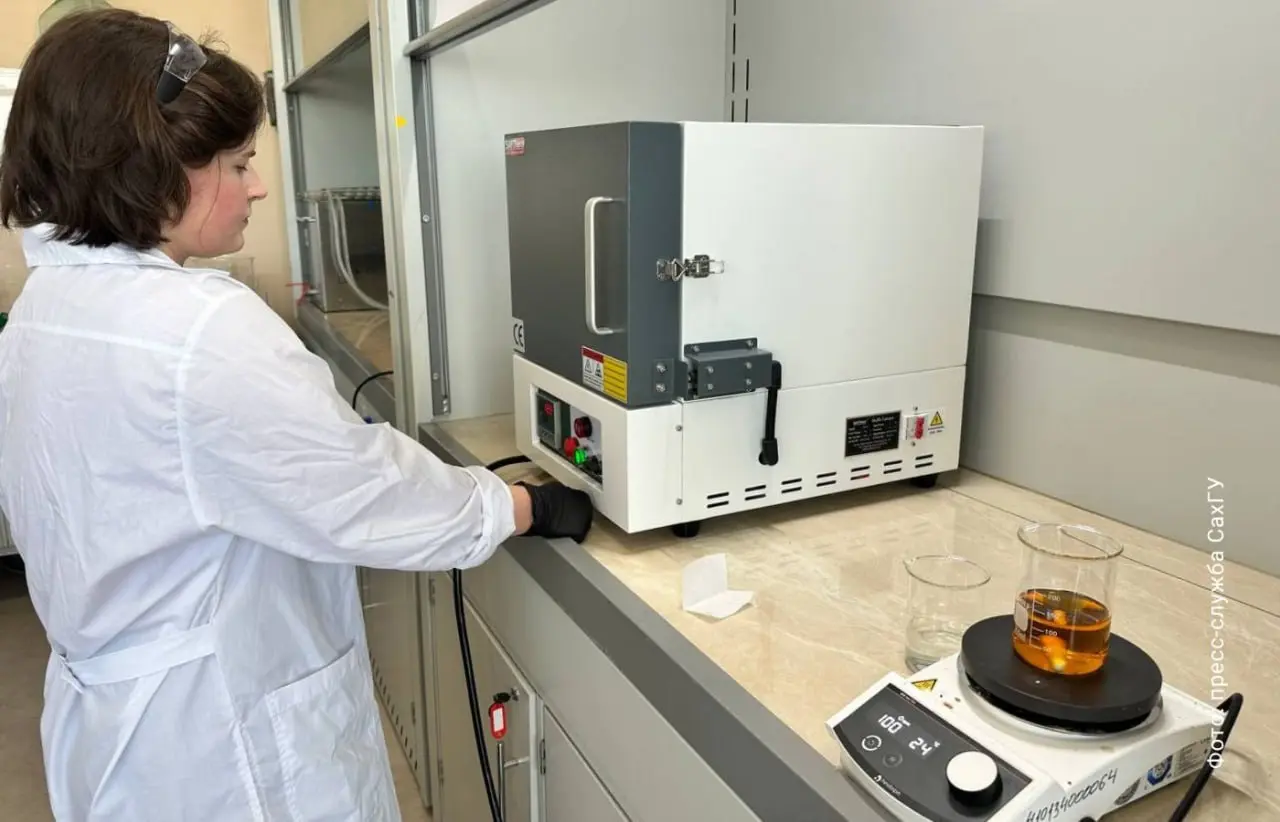 ⏺ Ученые СахГУ и ДВФУ создали экологичные аноды для натрий-ионных аккумуляторов из сахалинского бамбука
Основой для инновационного материала стала биомасса дальневосточного бамбучника Sasa kurilensis ... | Сетка — социальная сеть от hh.ru