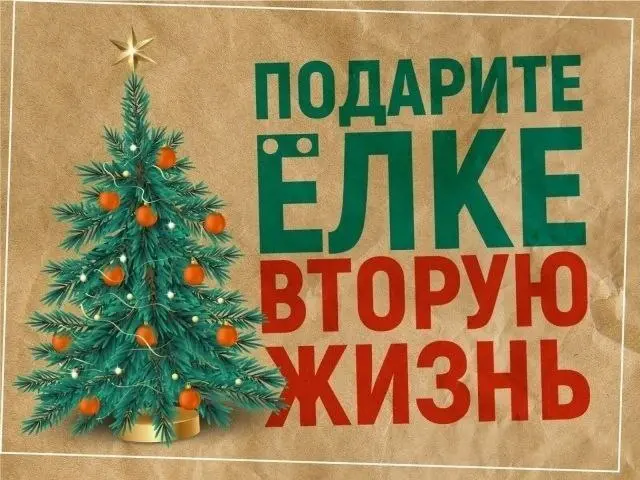 🎄Есть живая новогодняя ёлка, которую жалко выбрасывать? В Ессентуках её можно сдать на полезное дело.
Приносите деревья в парк культуры и отдыха «Городское озеро» | Сетка — социальная сеть от hh.ru