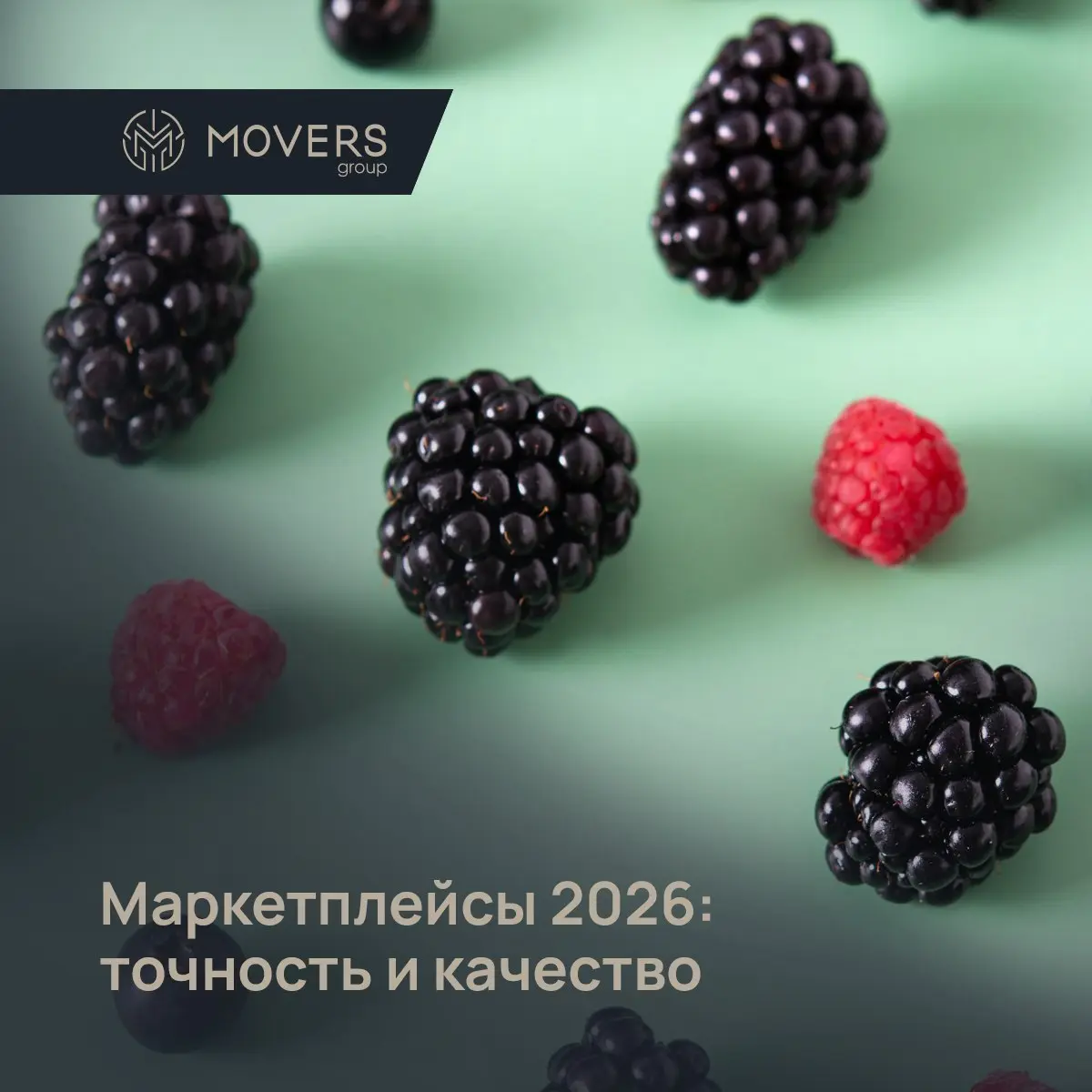 🚀 Бизнес на маркетплейсах 2026 — точность и качество
Эпоха «халявы» в e-commerce окончена | Сетка — социальная сеть от hh.ru
