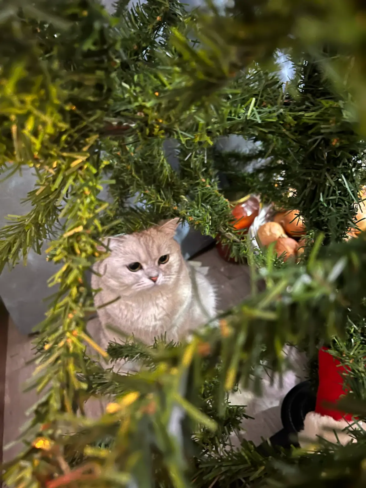 2026 год для ИИ | Сетка — социальная сеть от hh.ru