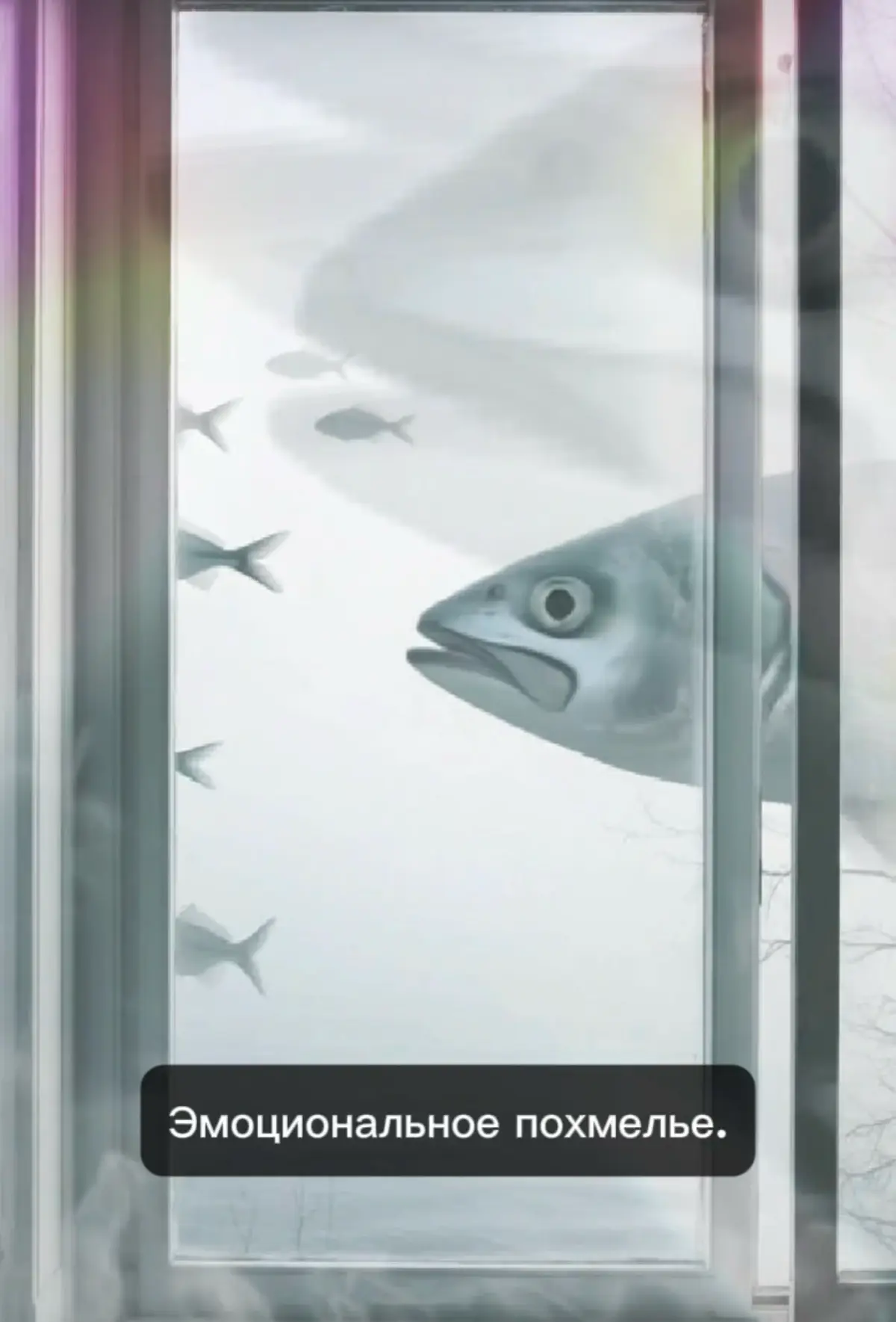 🙈Эмоциональное или Дофаминовое похмелье | Сетка — социальная сеть от hh.ru