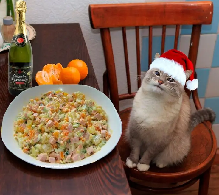 🎄🌪️Вкатываемся в рабочий ритм после праздников: 4 правила | Сетка — социальная сеть от hh.ru