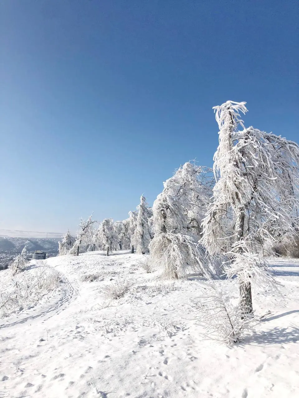 Пятигорск, укутанный снежным одеялом
📸 Артём Мелетов
📲 Что-то на Ставропольском в MAX | Сетка — социальная сеть от hh.ru