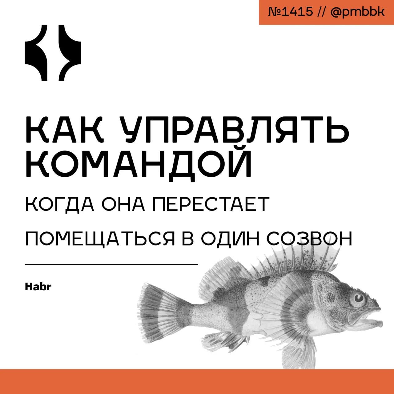 🐜 Как управлять командой, когда она перестает помещаться в один созвон
Как-то раз я моргнул - и наша команда из 10 инженеров выросла до 35 | Сетка — социальная сеть от hh.ru