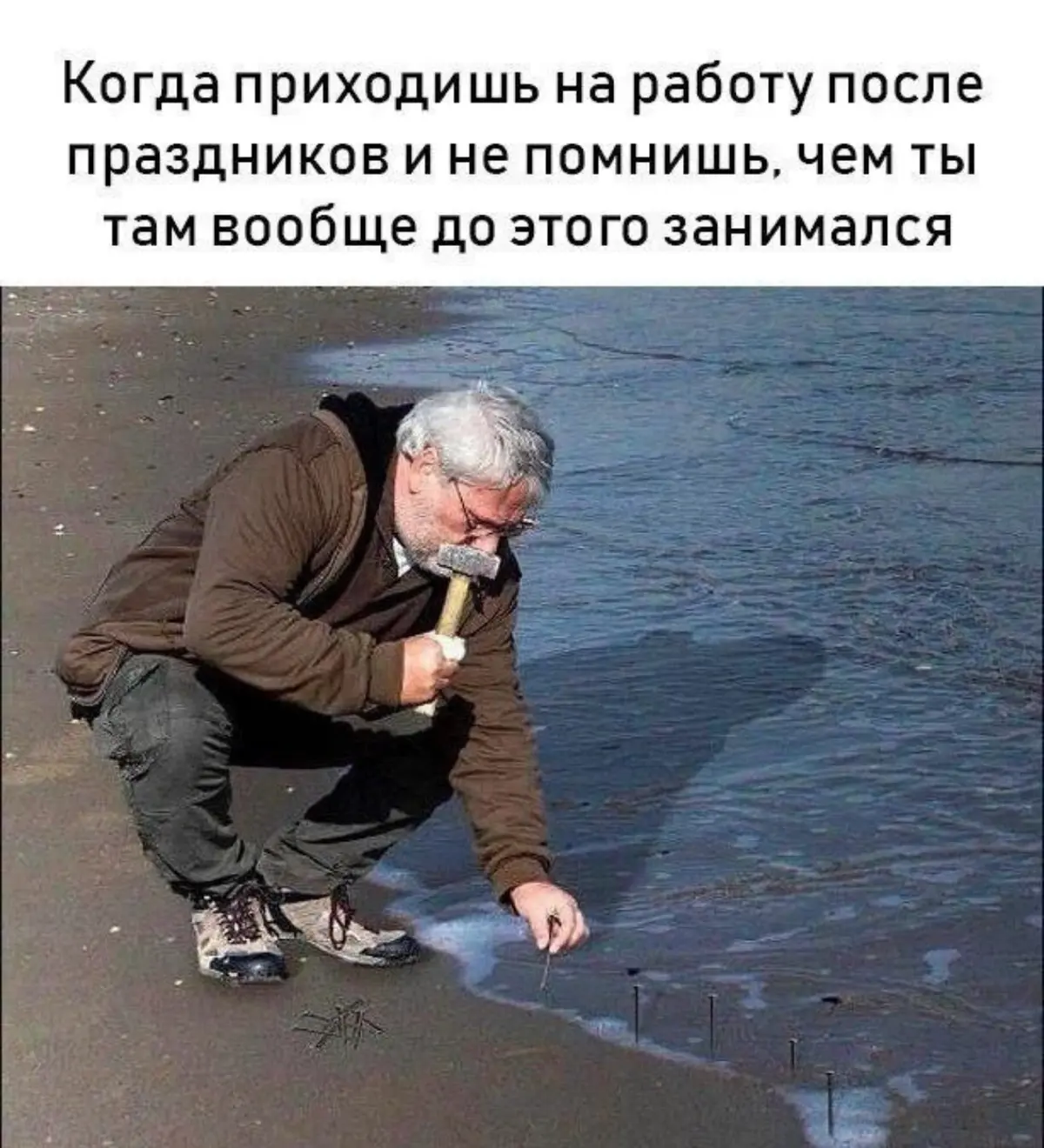 С началом нового рабочего года 🫠 | Сетка — социальная сеть от hh.ru