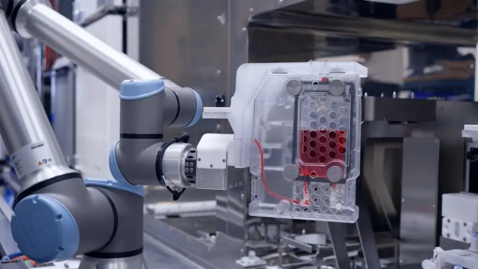 🤖 Роботы в биолабораториях появятся уже в 2026 году
Multiply Labs внедряет роботов для производства клеточной терапии, заменяя ручной труд в стерильных условиях | Сетка — социальная сеть от hh.ru