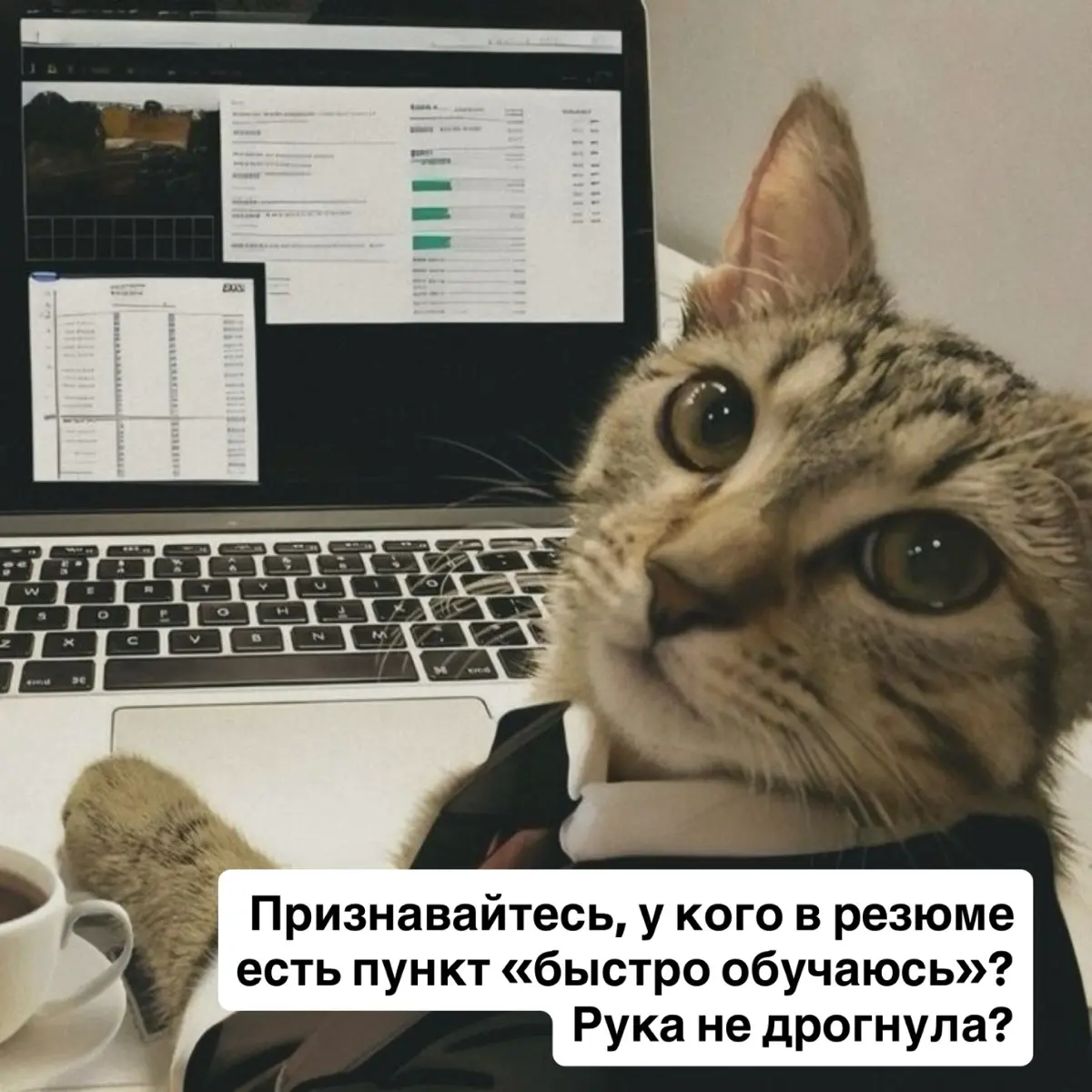 👀У кого в резюме это есть? | Сетка — социальная сеть от hh.ru