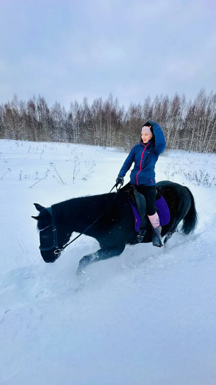 Воробушка, Дарчик и Чара ❄️🐴❄️💙❄️ | Сетка — социальная сеть от hh.ru