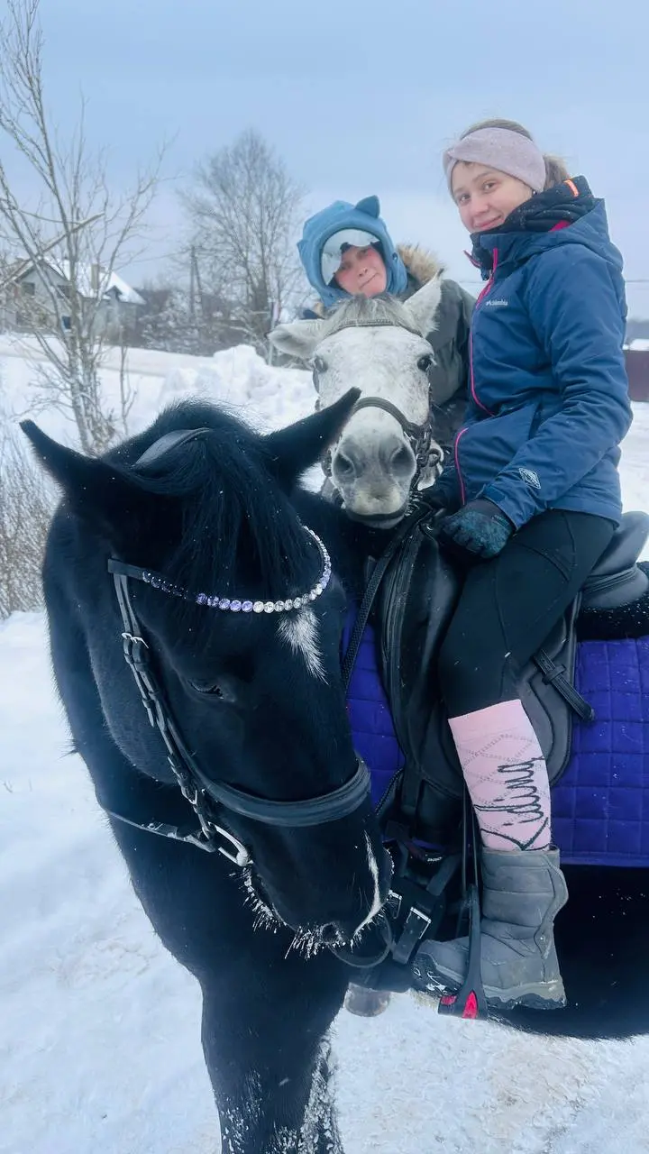 Воробушка, Дарчик и Чара ❄️🐴❄️💙❄️ | Сетка — социальная сеть от hh.ru
