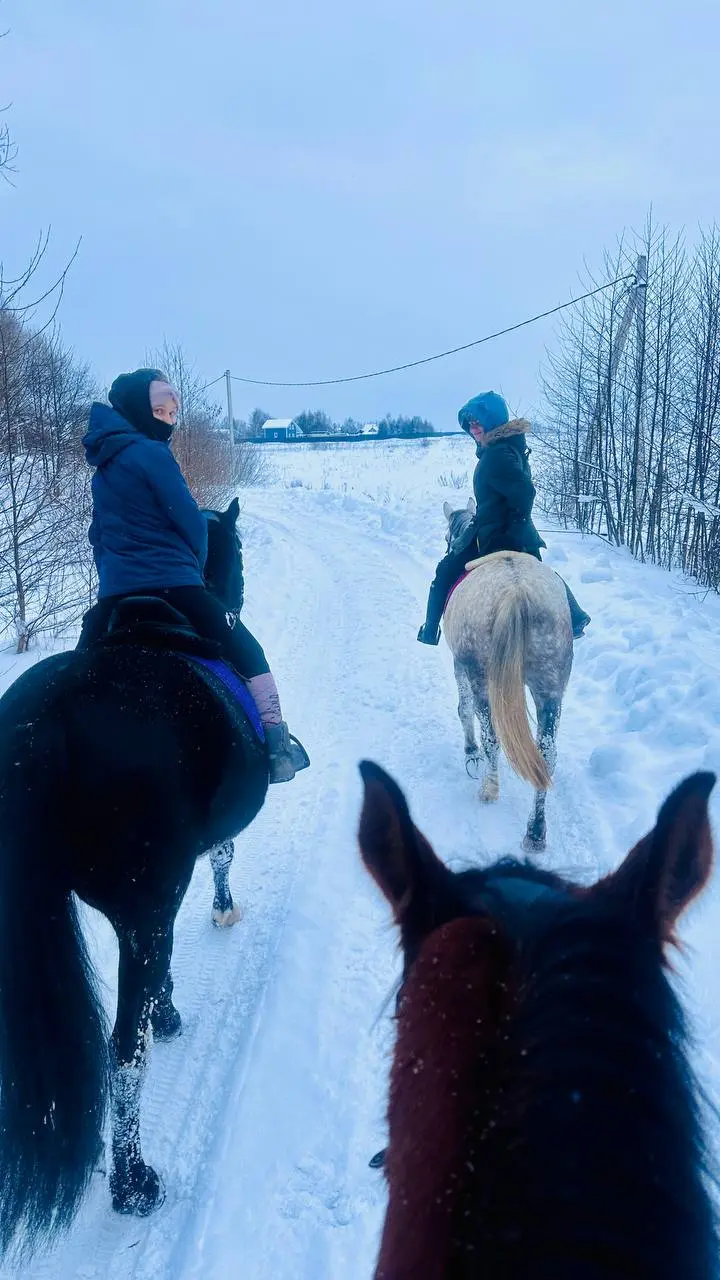 Воробушка, Дарчик и Чара ❄️🐴❄️💙❄️ | Сетка — социальная сеть от hh.ru