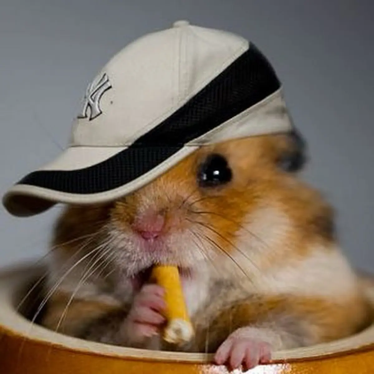 Василина Михайлова