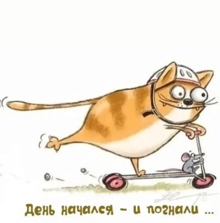 Люди!!! Скажите, что я не одна с удовольствием ехала 12 января на работу😂😂😂 После пятого проклятья в спину в офисе, я задумалась, что слишком много улыбаюсь в этот день😂 | Сетка — социальная сеть от hh.ru