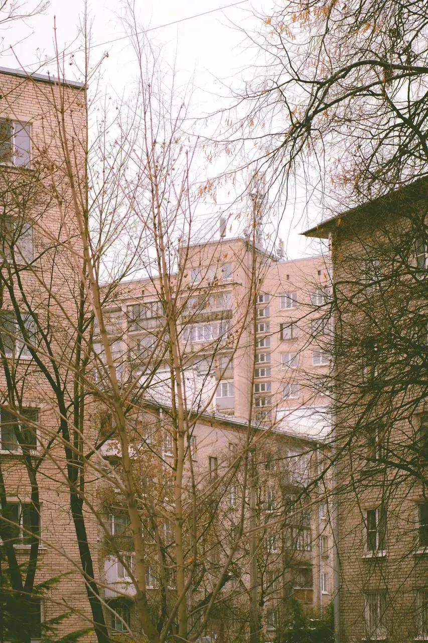 Кручу в лайтруме новый тестовый пресет под пленку, но кажется чего-то не хватает.
Если есть энтузиасты, покрутите на свой взгляд.
Лучше конечно проверить на каких-то ярких цветах при солнечной погоде. | Сетка — социальная сеть от hh.ru