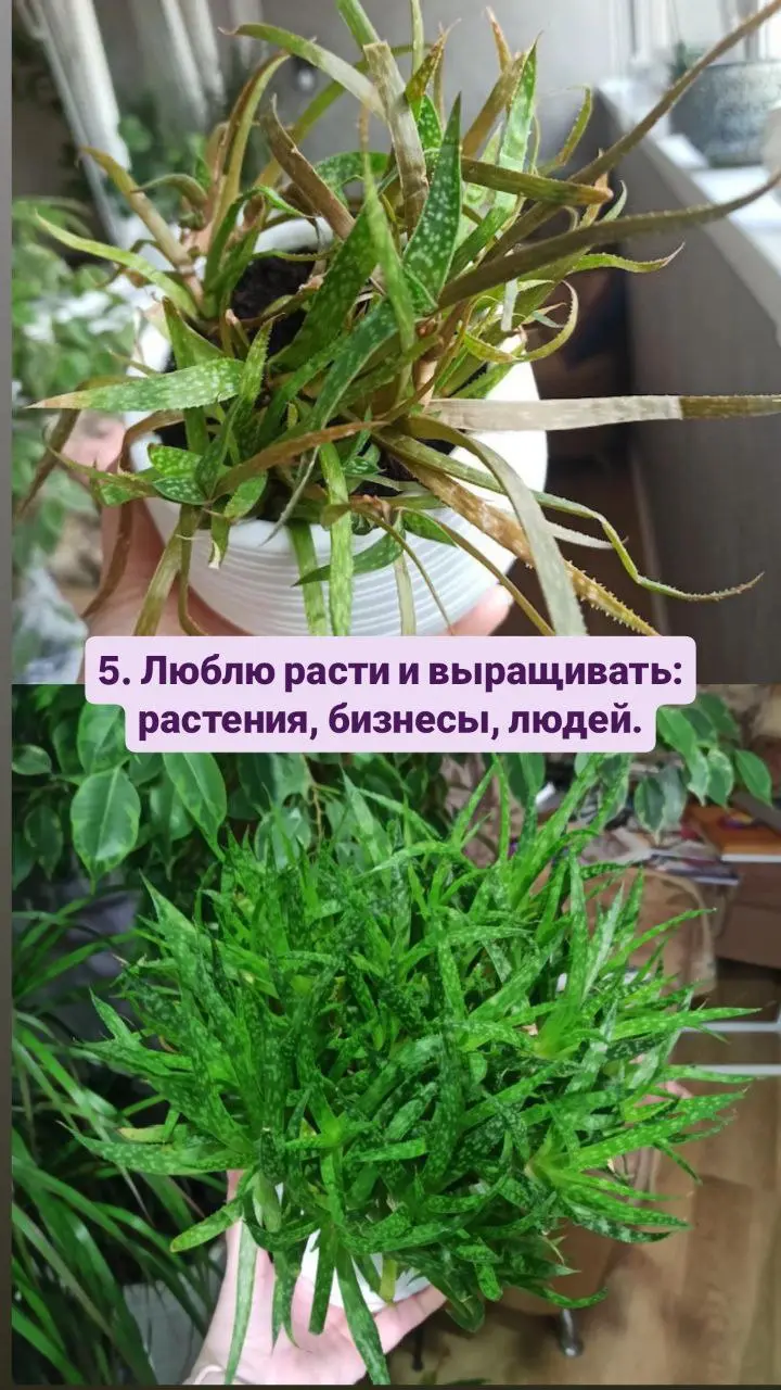 🩷 Для тех, кто в моём канале недавно, и для тех, кто ещё мало меня знает, решила немного рассказать о себе.
Сверху — 10 фактов обо мне | Сетка — социальная сеть от hh.ru