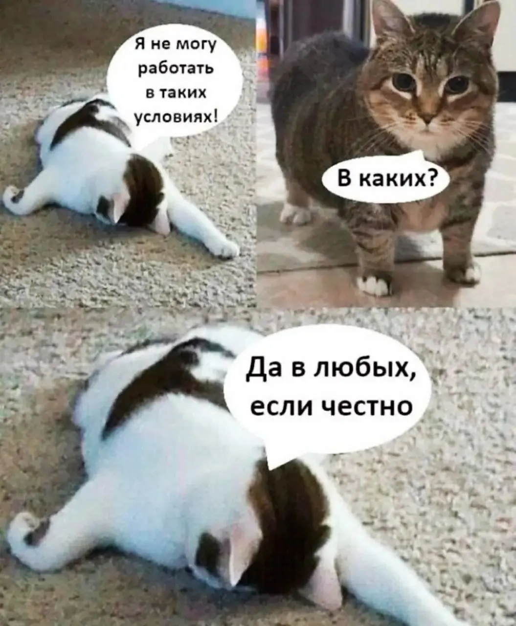 ⚡️ Россияне массово УВОЛЬНЯЮТСЯ после новогодних праздников — каждый седьмой сотрудник собирается написать заявление уже в ближайшее время!
А каждый пятый работяга хочет сначала уйти в отпуск, а уже п... | Сетка — социальная сеть от hh.ru