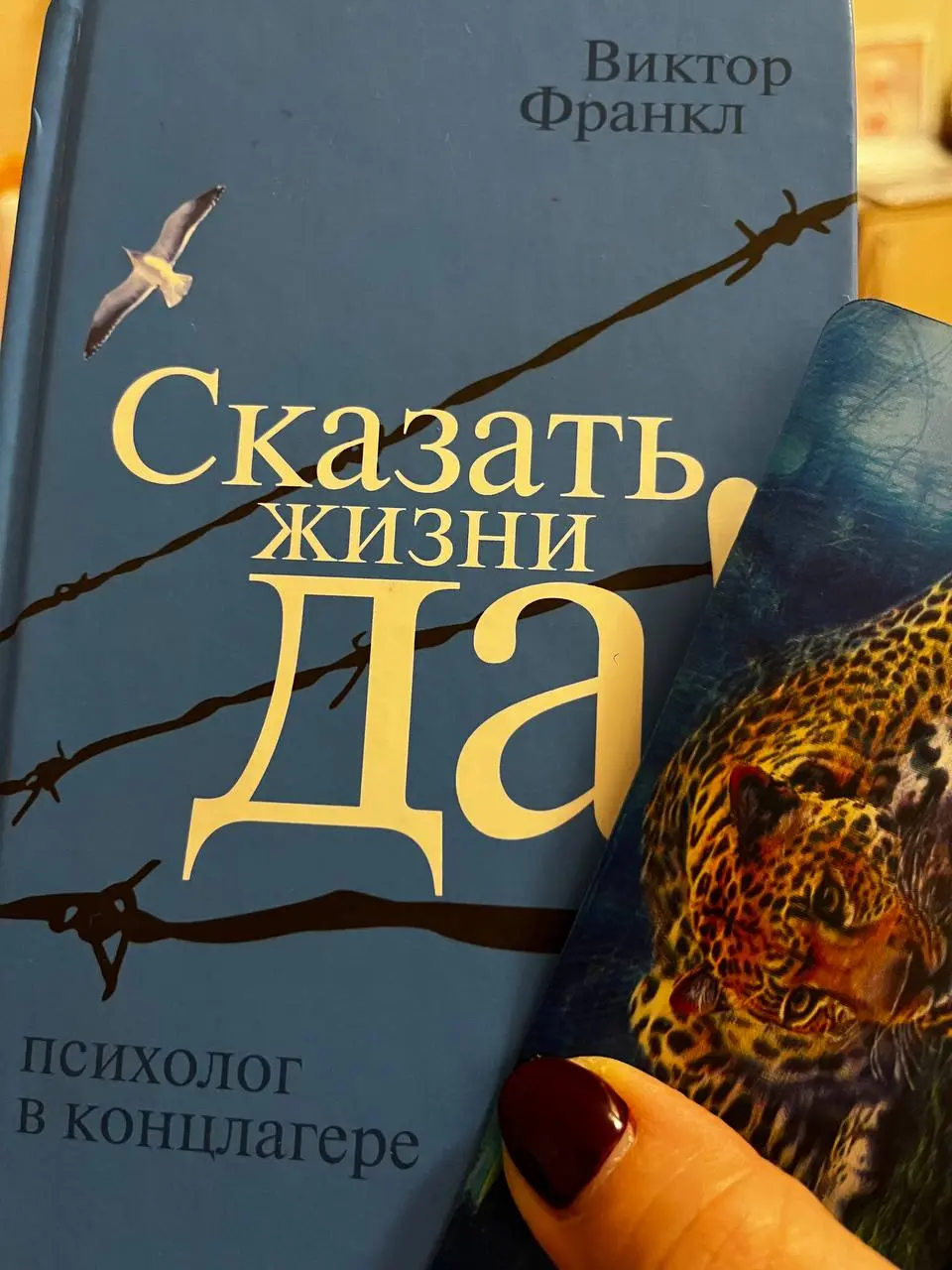 Сегодня начался #челендж длиною в год по чтению книг 📚 , в котором я приняла участие | Сетка — социальная сеть от hh.ru