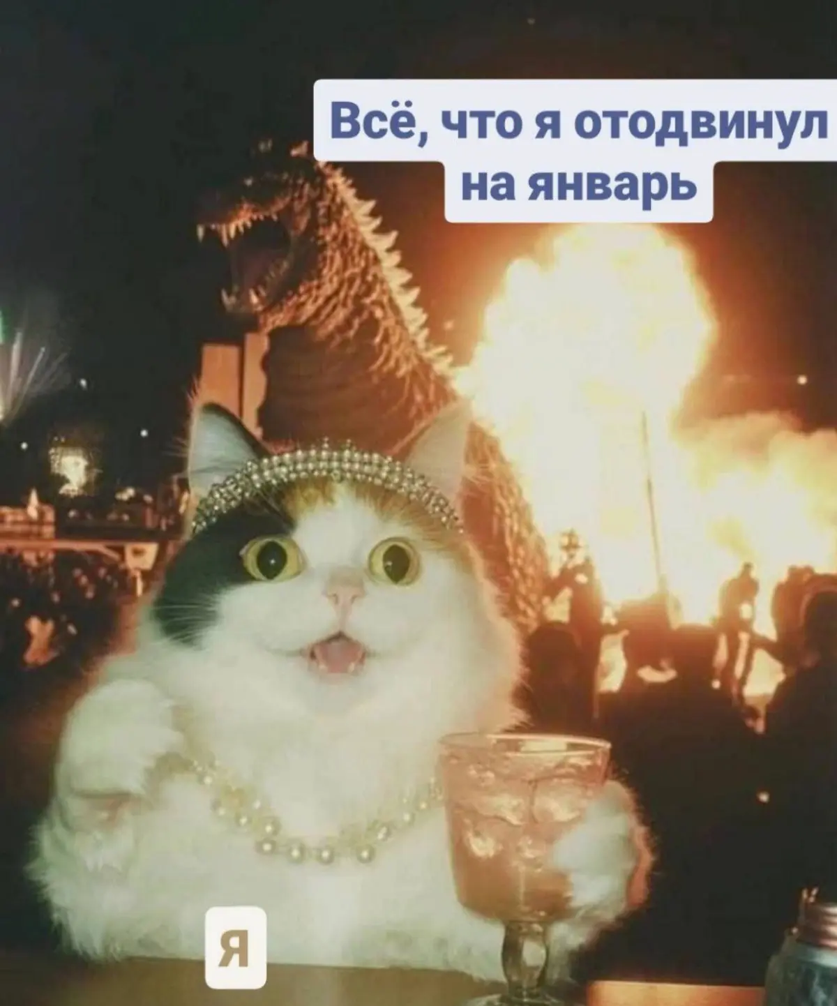 Когда принятые решения в прошлом году нужно осуществлять | Сетка — социальная сеть от hh.ru