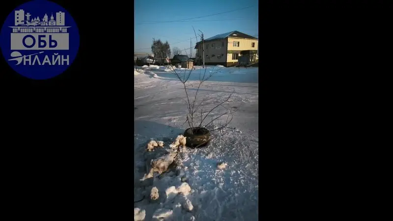↗ С НАСТУПАЮЩИМ СТАРЫМ НОВЫМ ГОДОМ, ГОРОД ОБЬ♥️
vk.ru
Подробнее на https://vk.com/ob.gorod
#городобь #городобьонлайн #толмачево | Сетка — социальная сеть от hh.ru