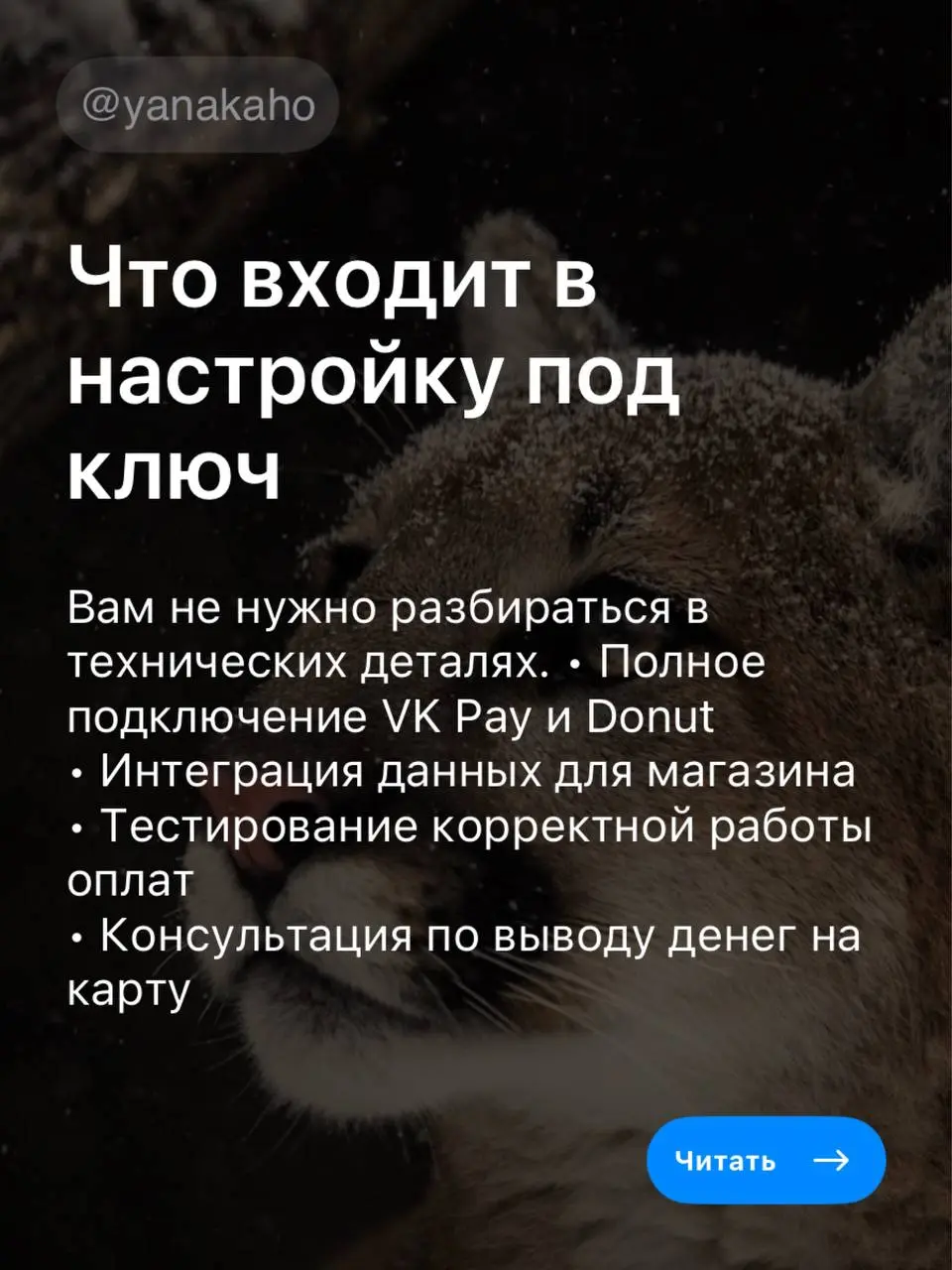 💳ПОДКЛЮЧЕНИЕ ОПЛАТ В СООБЩЕСТВЕ ВК (VK Pay / Donut)
Настрою для вас приём платежей прямо в группе — чтобы клиенты могли оплачивать товары, услуги или поддерживать проект в один клик 👇
🤩Что входит в на... | Сетка — социальная сеть от hh.ru