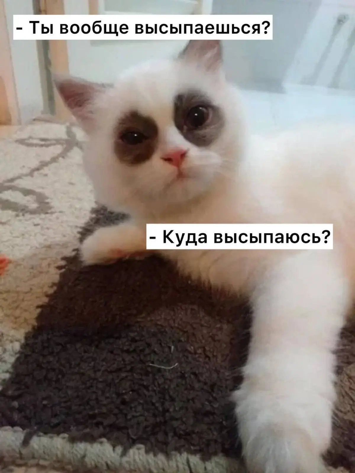 Хронический недосып сокращает жизнь больше, чем плохое питан | Сетка — социальная сеть от hh.ru