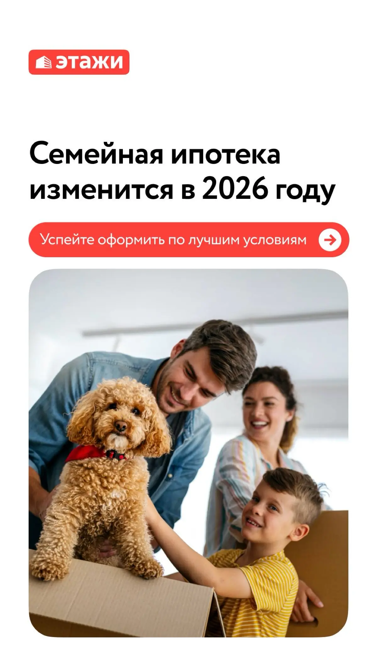Есть еще время и можно успеть. | Сетка — социальная сеть от hh.ru