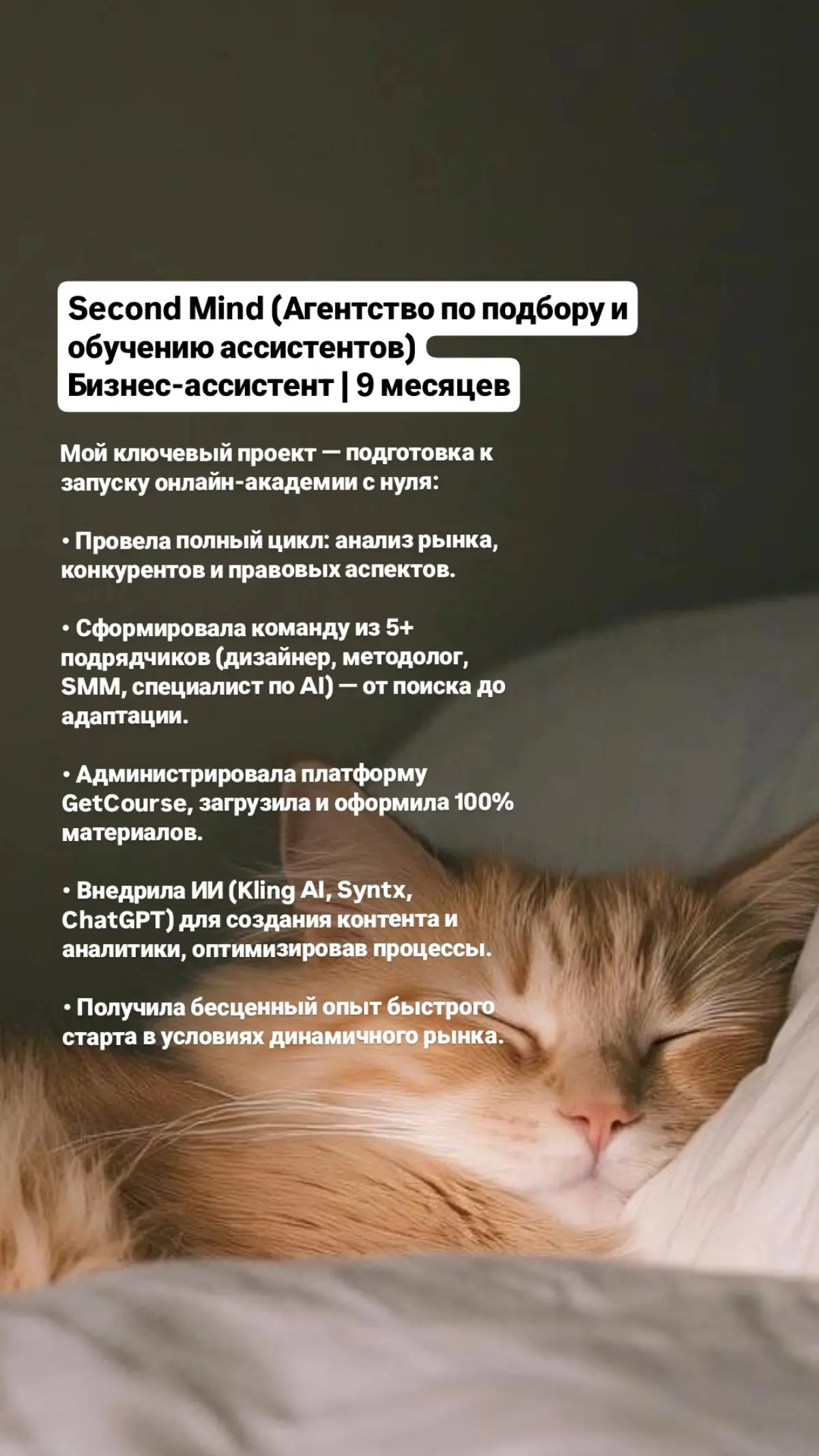 Ищу работу на роль бизнес ассистента, подробнее на фото | Сетка — социальная сеть от hh.ru