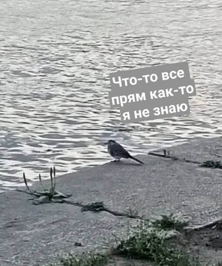 Корреляция | Сетка — социальная сеть от hh.ru