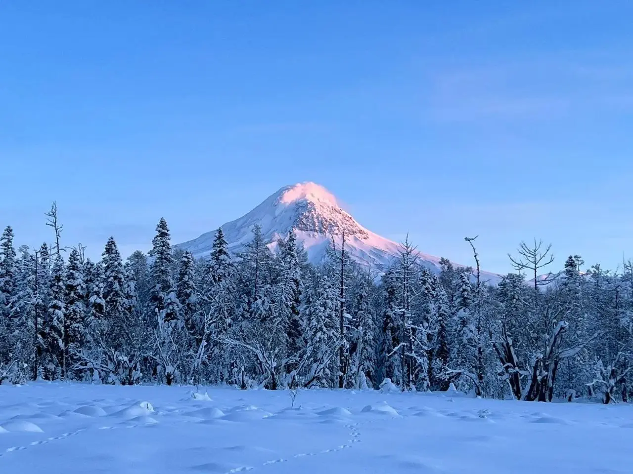 ❄🌲 Первые в этом году гости побывали в «Зимней сказке»
Так называется снегоходный маршрут, который проходит по Лазовскому участку Кроноцкого заповедника | Сетка — социальная сеть от hh.ru
