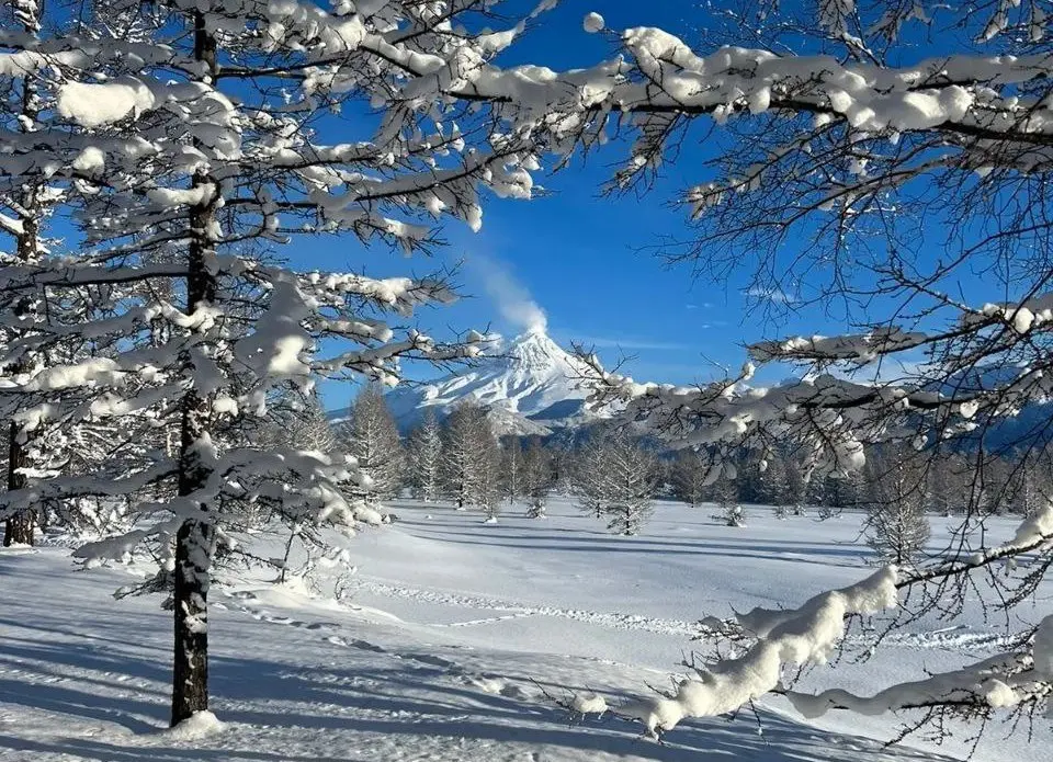 ❄🌲 Первые в этом году гости побывали в «Зимней сказке»
Так называется снегоходный маршрут, который проходит по Лазовскому участку Кроноцкого заповедника | Сетка — социальная сеть от hh.ru