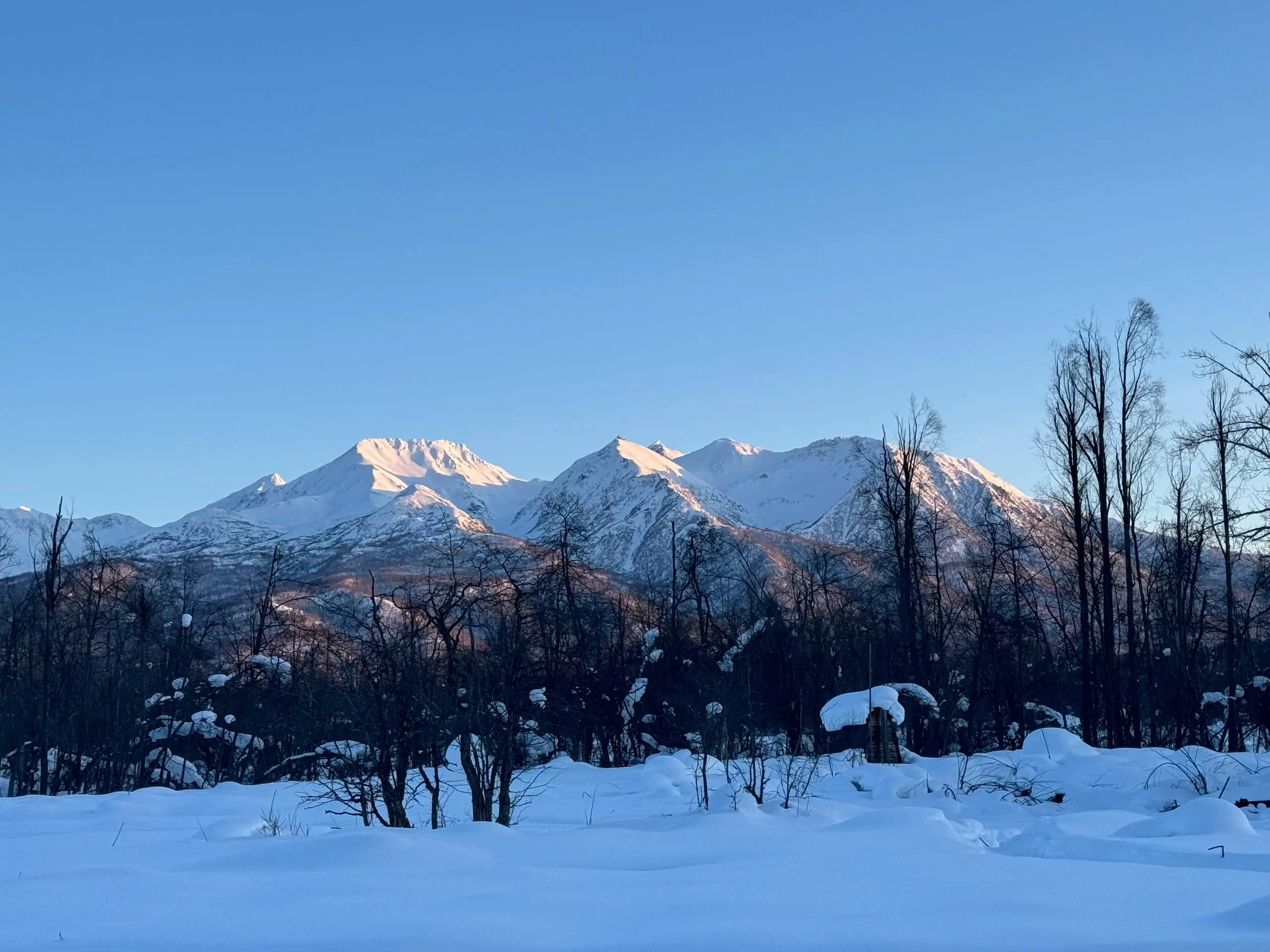❄🌲 Первые в этом году гости побывали в «Зимней сказке»
Так называется снегоходный маршрут, который проходит по Лазовскому участку Кроноцкого заповедника | Сетка — социальная сеть от hh.ru