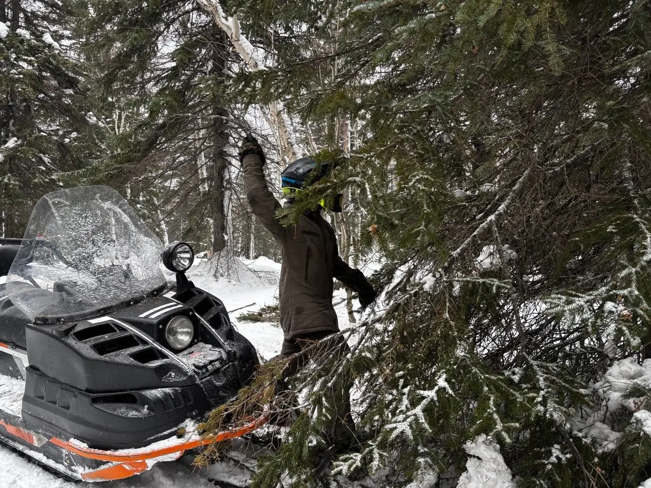 ❄🌲 Первые в этом году гости побывали в «Зимней сказке»
Так называется снегоходный маршрут, который проходит по Лазовскому участку Кроноцкого заповедника | Сетка — социальная сеть от hh.ru