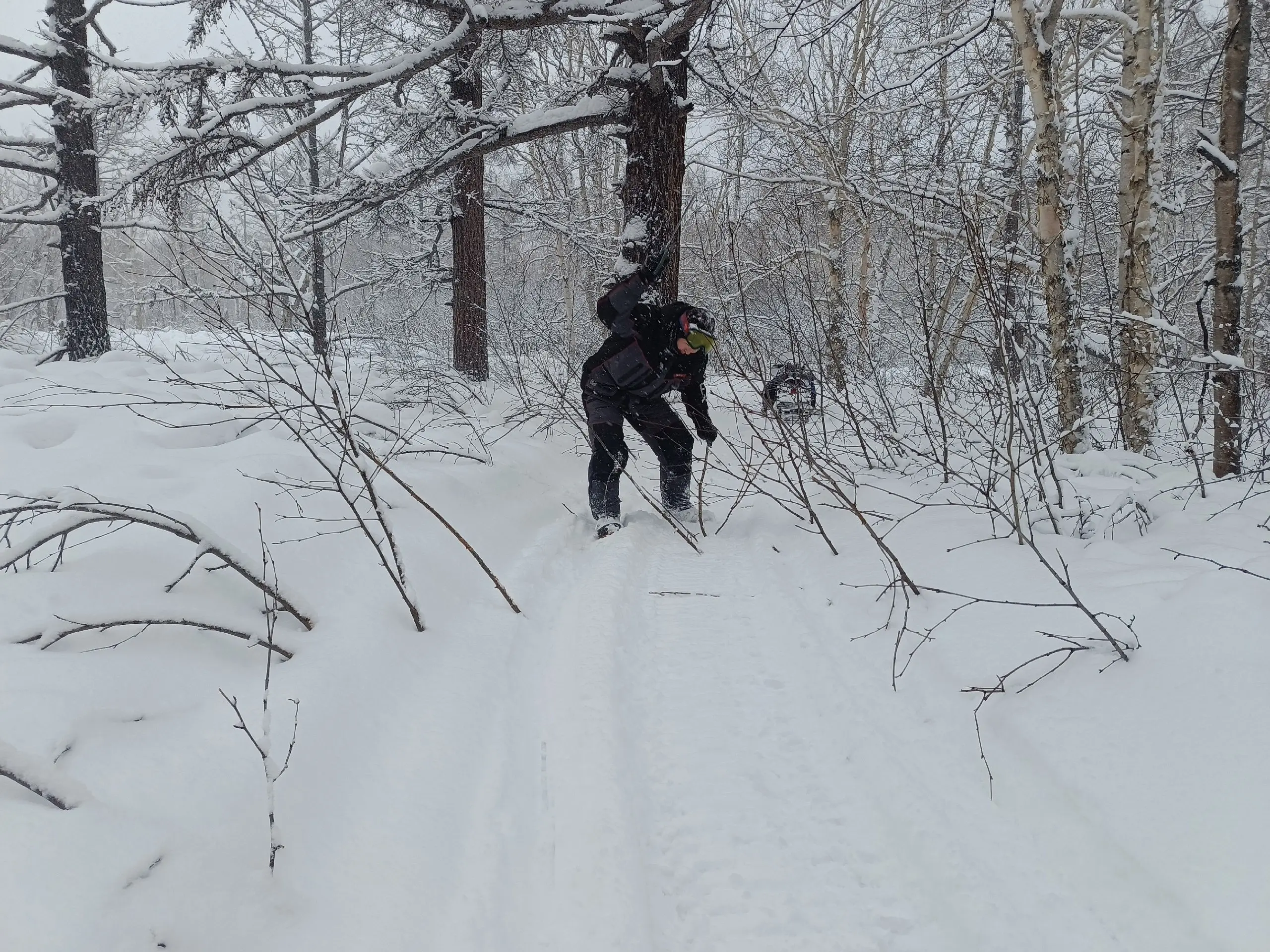 ❄🌲 Первые в этом году гости побывали в «Зимней сказке»
Так называется снегоходный маршрут, который проходит по Лазовскому участку Кроноцкого заповедника | Сетка — социальная сеть от hh.ru