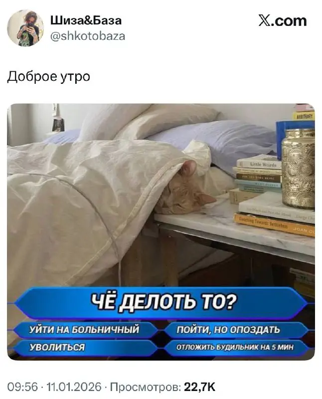 #life #work | Сетка — социальная сеть от hh.ru