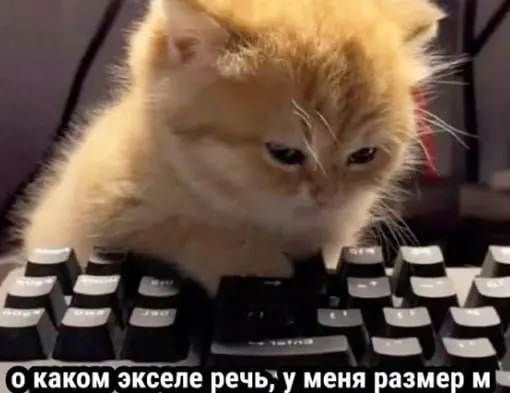 Приветик :) у нас появилась удаленная вакансия рекрутера! | Сетка — социальная сеть от hh.ru