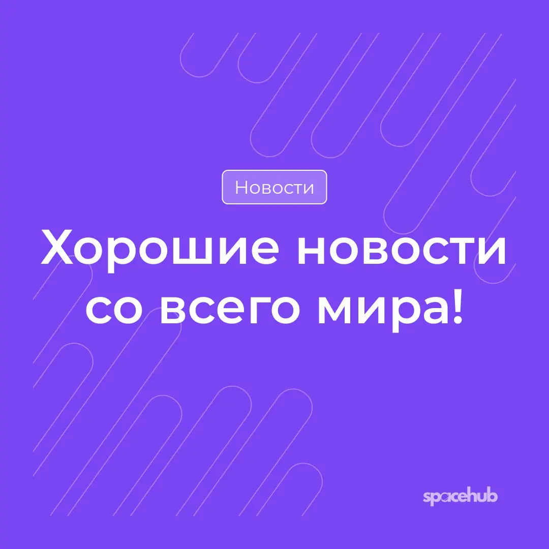 Труженики! 🐝
Мы пришли, чтобы внести в вашу ленту хорошие и добрые новости!
Предлагаем вам ненадолго отдохнуть от погони за успешным успехом и закрытия всех задач в таск-трекере и узнать, что хорошего... | Сетка — социальная сеть от hh.ru