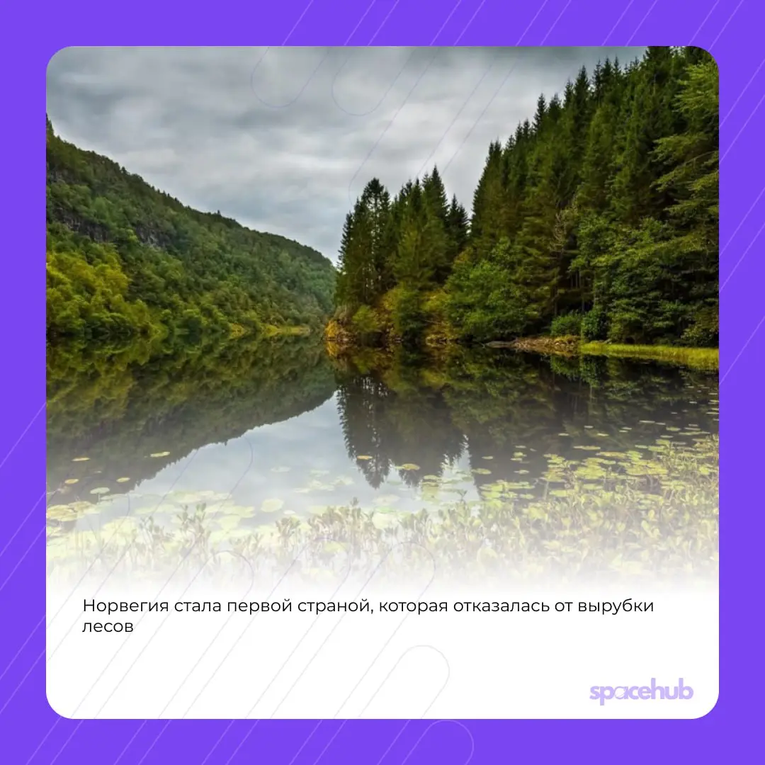Труженики! 🐝
Мы пришли, чтобы внести в вашу ленту хорошие и добрые новости!
Предлагаем вам ненадолго отдохнуть от погони за успешным успехом и закрытия всех задач в таск-трекере и узнать, что хорошего... | Сетка — социальная сеть от hh.ru