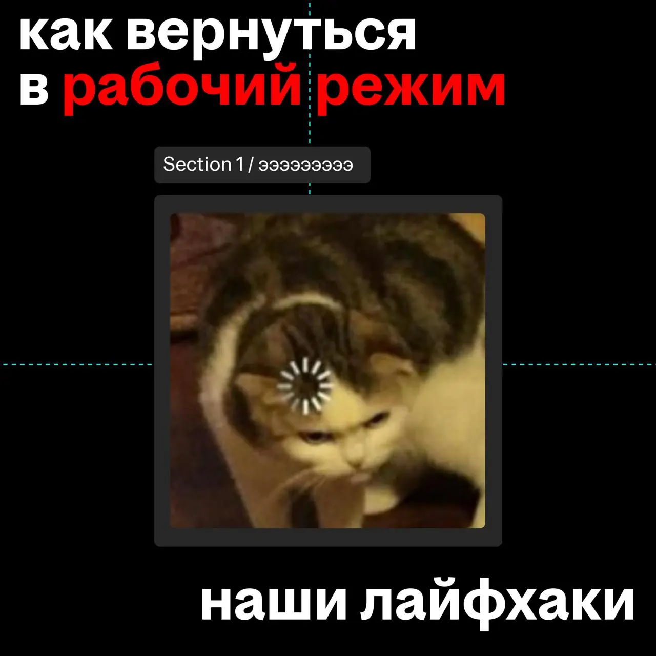вы как, раздупляетесь?
мы со скрипом вливаемся в рабочий ритм, хотим обратно на каникулы.. | Сетка — социальная сеть от hh.ru