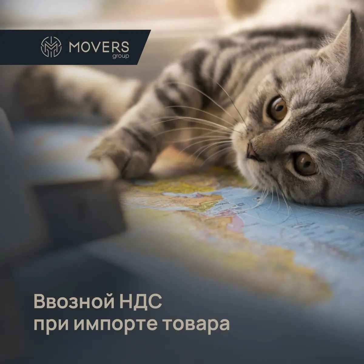 Если ваш бизнес занимается импортом товаров из-за рубежа, важно правильно учитывать ввозной НДС | Сетка — социальная сеть от hh.ru