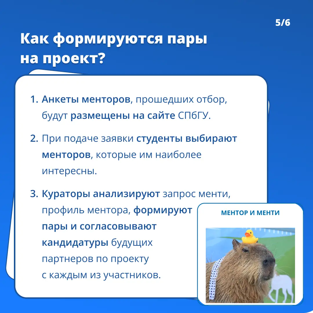 Хотите помочь молодому специалисту в карьерном развитии? | Сетка — социальная сеть от hh.ru