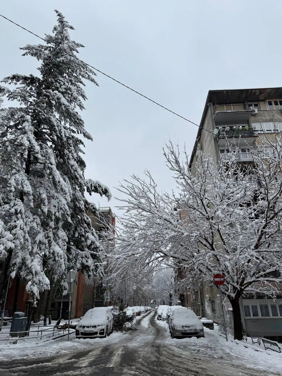 Базовый минимум в Новосибирске — роскошный максимум в Белграде 🤌
Фотоотчет «как я провела новогодние каникулы». У нас выпал снег | Сетка — социальная сеть от hh.ru