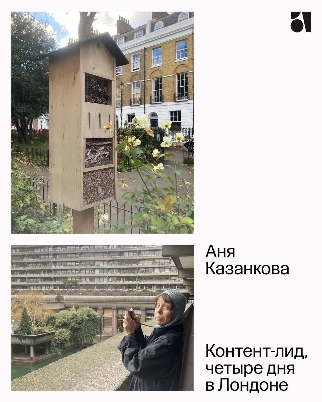Новый год для Atlas — это новое путешествие. А вот как путешествовала наша команда в прошлом: рассказываем, и загадываем новых приключений | Сетка — социальная сеть от hh.ru