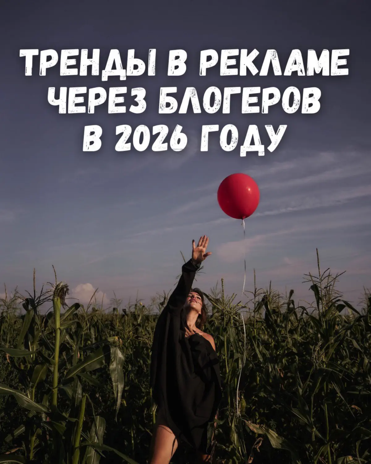 Рассказываем о прогнозе в мире инфлюенс маркетинга в 2026 г | Сетка — социальная сеть от hh.ru