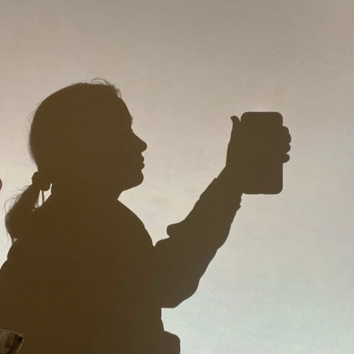 Анна Хоботова