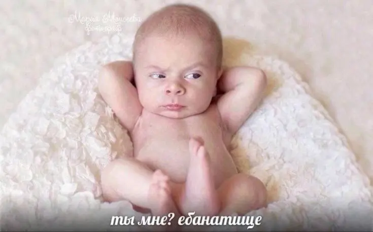 Куки умер😭 | Сетка — социальная сеть от hh.ru