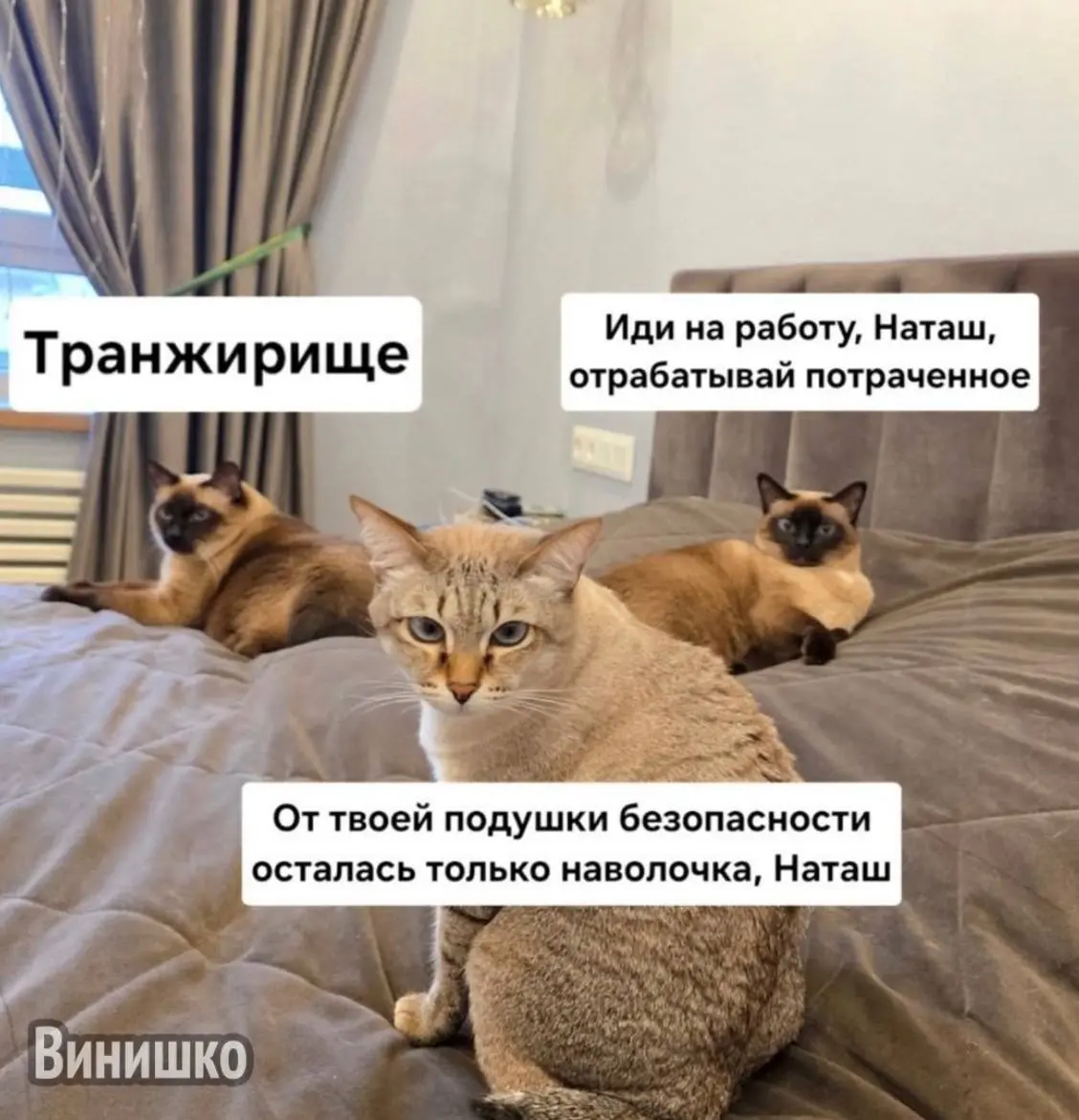1.3 млн за Новый год
У всей беды одно начало, сидела женщина скучала 🤣🤣🤣👌🏻

Лежала я тюленем значит на новогодних, наткнулась на пост Тианы, девочки которая ведет блог про покупку своей квартиры,... | Сетка — социальная сеть от hh.ru