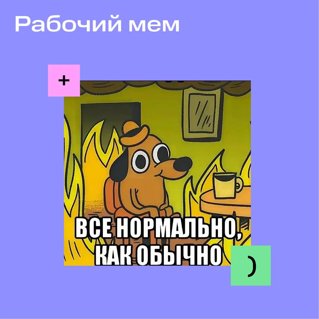 Рубрика #дневникстажёра | Сетка — социальная сеть от hh.ru