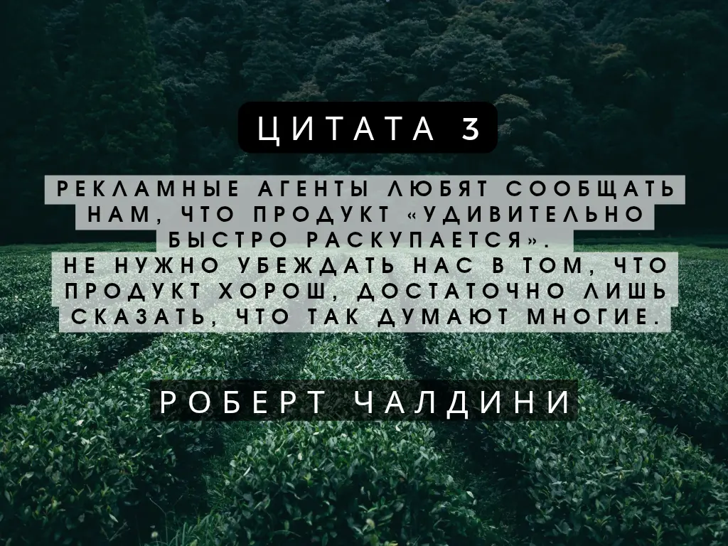 Цитаты о маркетинге! | Сетка — социальная сеть от hh.ru